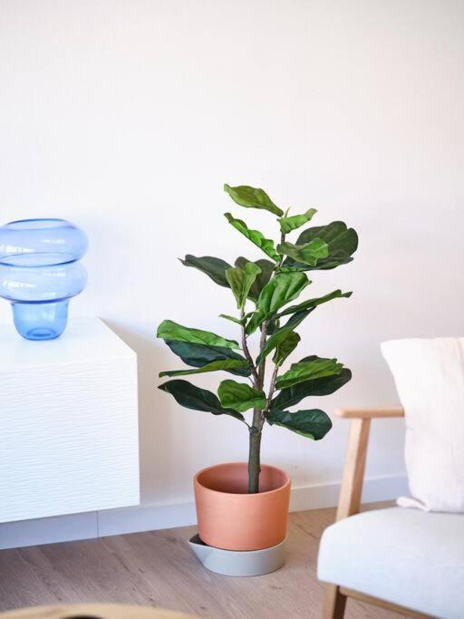 Hugo By The Harbor, Light-Filled And Centrally Located Apartment - Free Parking Oostende Eksteriør billede